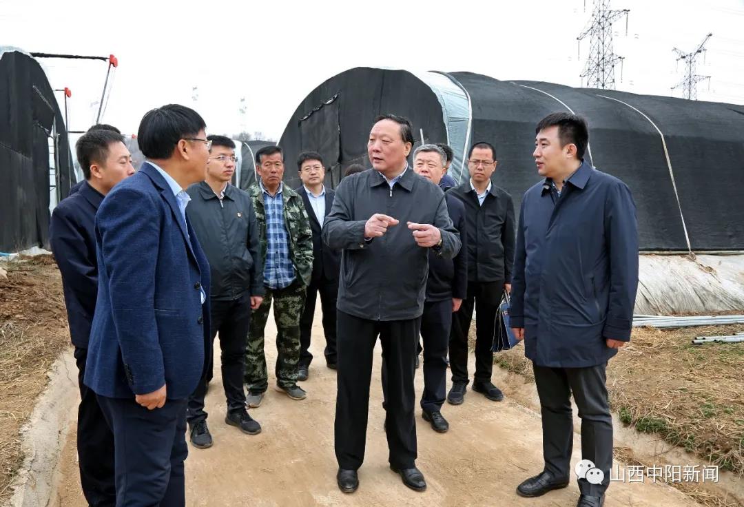 省委常委、统战部部长徐广国在我县调研黑木耳产业发展情况