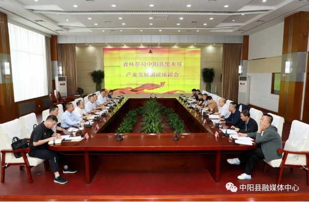 省林业和草原局党组书记、局长袁同锁来我县就黑木耳产业发展进行调研座谈