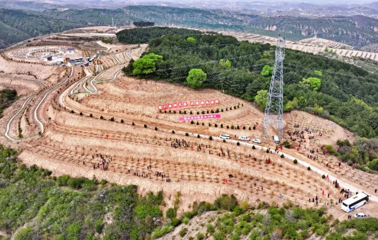 王峰率县四大班子领导开展义务植树活动